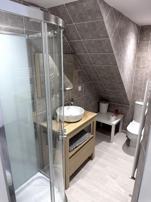 Appartement T4 En Hyper-Centre Bourgoin-Jallieu Exteriér fotografie